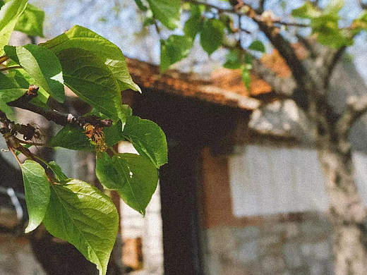 宁静致远