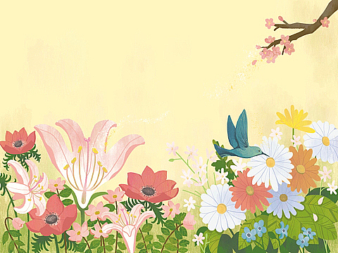 植物科普插画