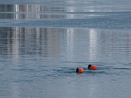 葵 · 视的记录2022 · 上