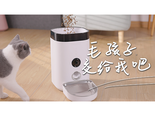 寵物喂食器 X 《毛孩子交給我吧》 X Dir Cut（個人主頁-ZNjM3Mzk5NDQ=） - 短片 - 站酷設(shè)計師DVisionTeam原創(chuàng)素材 - 站酷ZCOOL