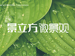 景立方微景观