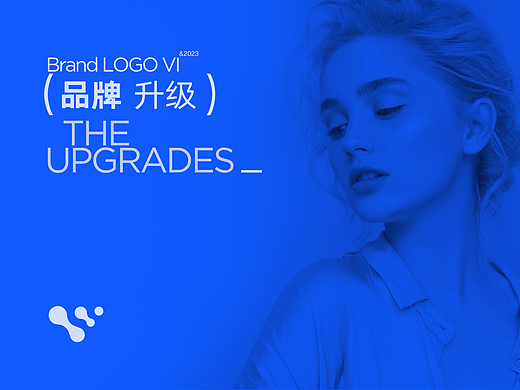 LOGO VI设计 WINGDERM | 品牌形象升级LOGO设计