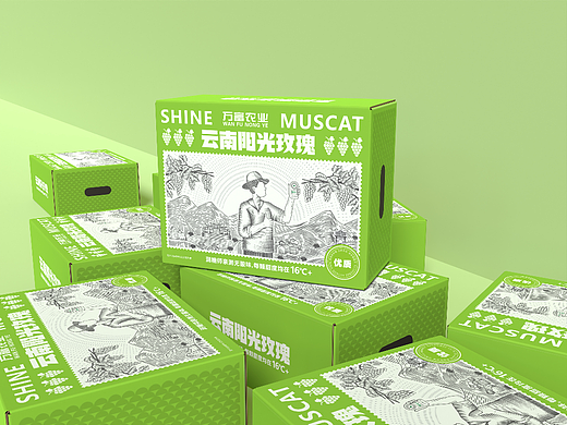 阳光玫瑰包装设计