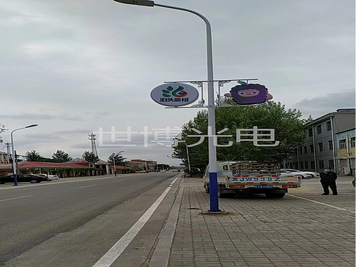 世博 桑葚元素路灯杆装饰地方特色桑葚造型灯设计厂家