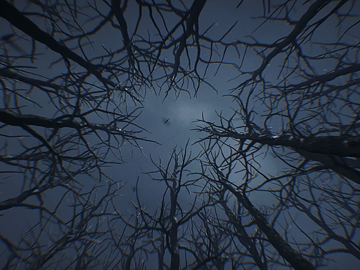 天地玄黄：第四周 | 迷失（个人主页-ZNjM0ODE2NDQ=） - 场景 - 站酷设计师Aajie原创素材 - 站酷ZCOOL