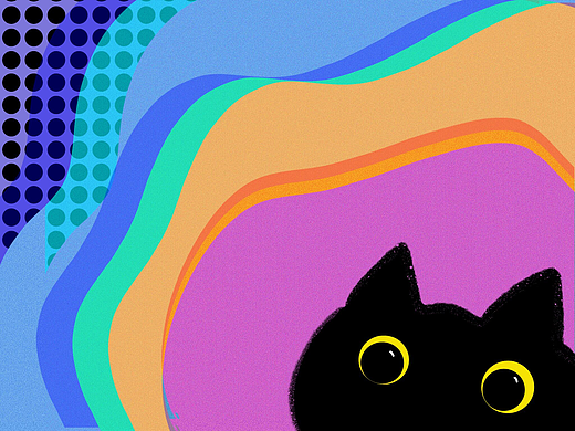 black cat