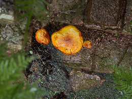 UE4練習(xí)作品0001