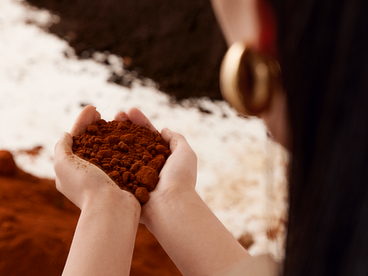 母亲节创意企划 | 38℃，相生相栖