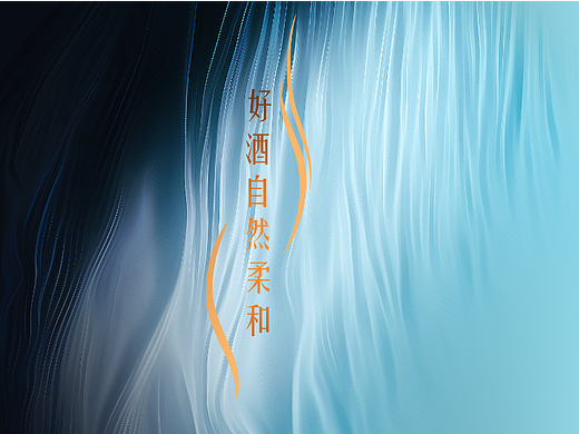 安徽种子酒
