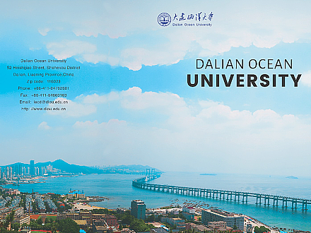 大连海洋大学宣传册设计