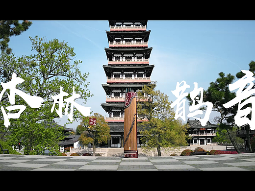 产品摄影琼花古筝