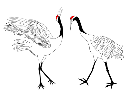 个人插画小练习（个人主页-ZNjM4MDMwMDA=） - 创作习作 - 站酷设计师薄荷wanan原创素材 - 站酷ZCOOL