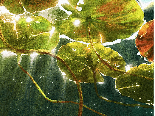 绘画星球打卡挑战DAY1