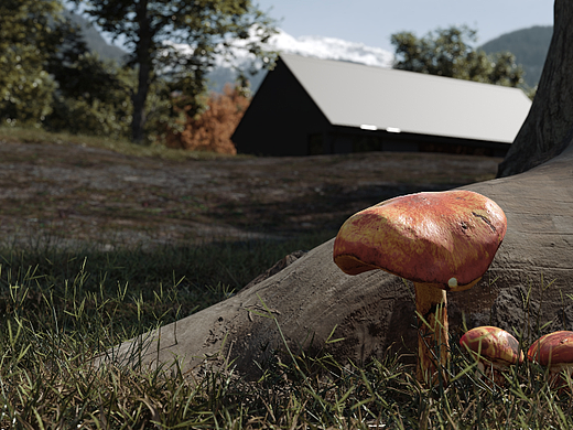 【林中小屋】（個(gè)人主頁(yè)-ZNjE0NTEyNzI=） - 景觀設(shè)計(jì) - 站酷設(shè)計(jì)師QX丨VISION原創(chuàng)素材 - 站酷ZCOOL