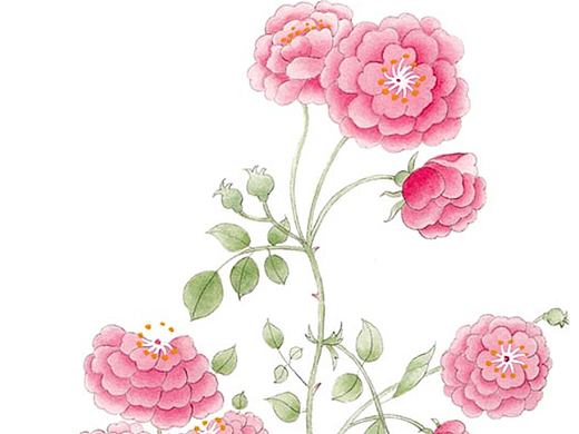手绘水彩花卉插画