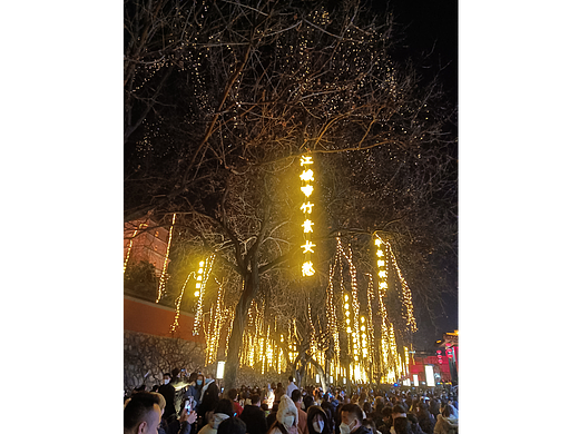 大唐不夜城边的火树银花（个人主页-ZNjYyMjE2NDA=） - 人文/纪实摄影 - 站酷设计师出世原创素材 - 站酷ZCOOL