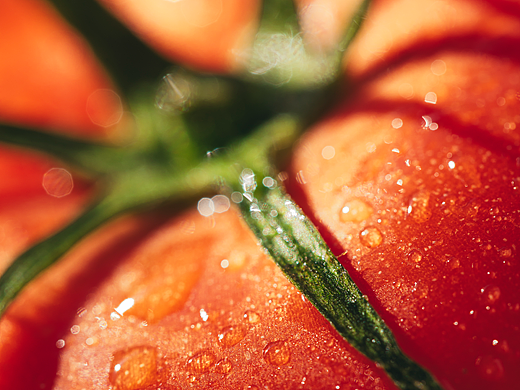 静物摄影 | 西红柿