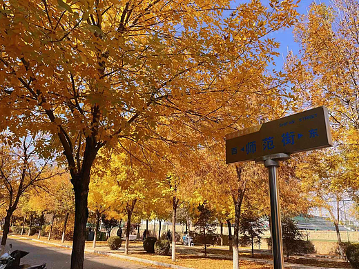 秋天（個人主頁-ZNjY3MTIwODg=） - 風光攝影 - 站酷設(shè)計師Z158684208原創(chuàng)素材 - 站酷ZCOOL