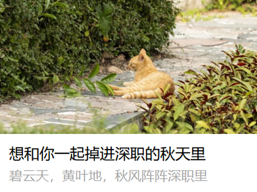 个人作品集——微信公众号运营