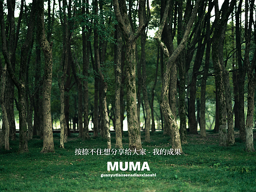 MUMA 影像记录 003 交流分享