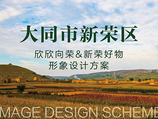 大同市新荣区区域品牌标识设计