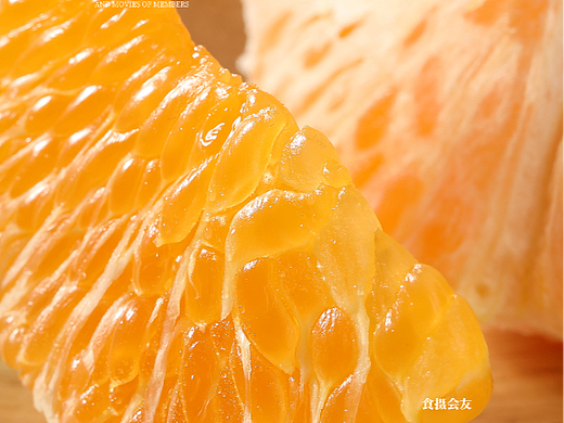 橘子拍摄水果拍摄电商产品生鲜摄影详情页