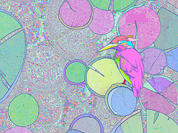 實(shí)驗(yàn)式