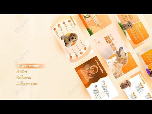 阿念PPT丨可爱宠物风金毛猫狗用品橙黄PPT设计美化作品