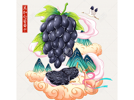 黑加仑葡萄干手绘插画