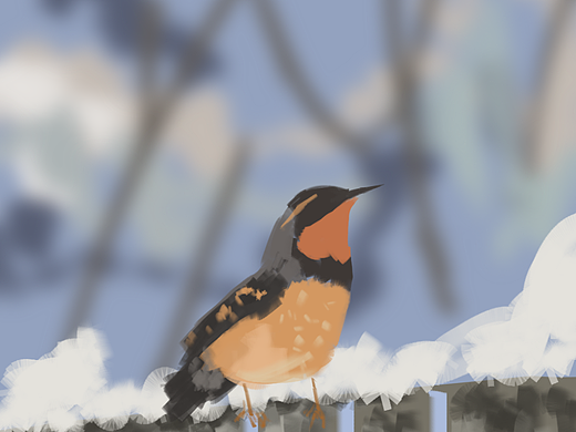 冬日插畫(huà)7-鳥(niǎo)（個(gè)人主頁(yè)-ZNjQzMDMxODA=） - 創(chuàng)作習(xí)作 - 站酷設(shè)計(jì)師angerula原創(chuàng)素材 - 站酷ZCOOL