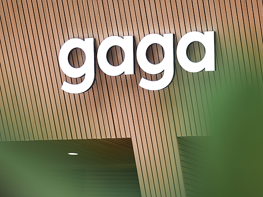 gaga | 城市绿洲 生长不息