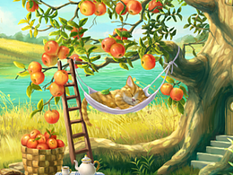 春天里睡覺的小貓