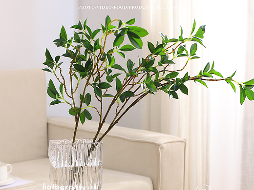 仿真植物/绿植/橄榄枝
