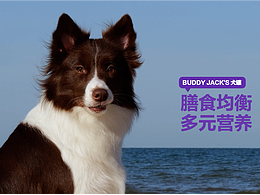 BUDDYJACK犬零食罐头山姆会员店视频