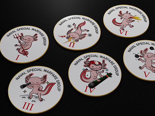 NSWG Patch 海军特种作战群徽章(架空系)