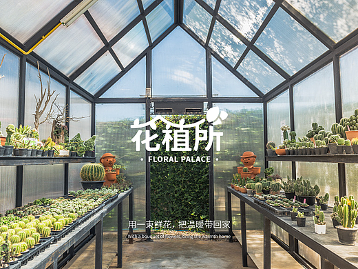 花植所｜花店品牌设计