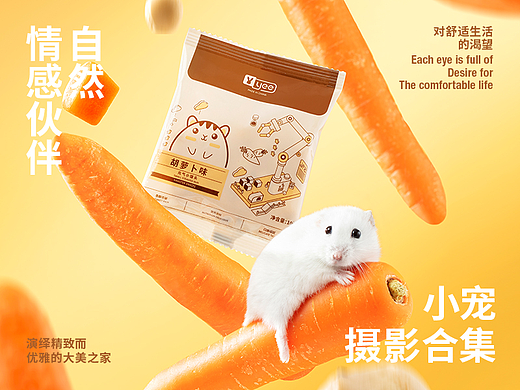 YEE小宠摄影 | 陪伴是最长情的告白