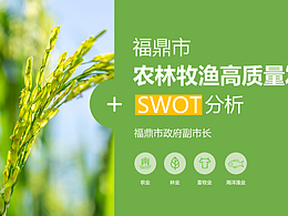 政府匯報(bào)PPT