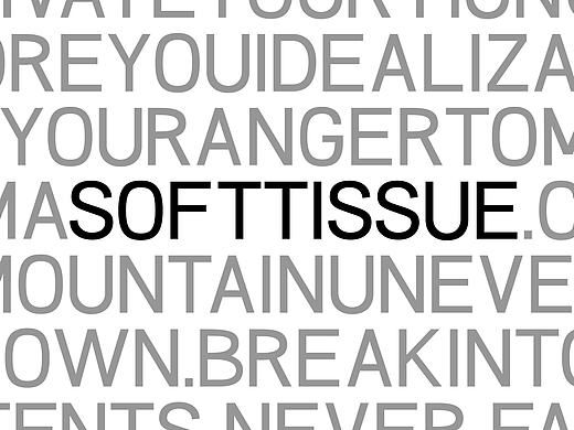 SOFTTISSUE 英文字体设计