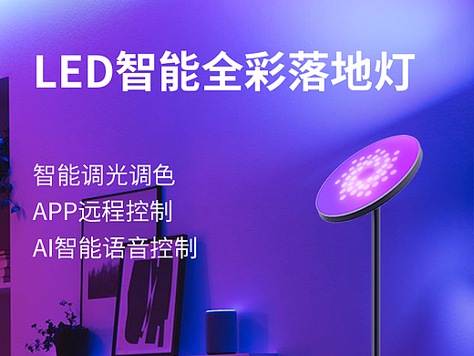 蓬荜生辉落地灯