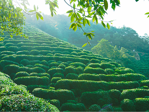 10月 | 杭州 十里琅珰 Part01