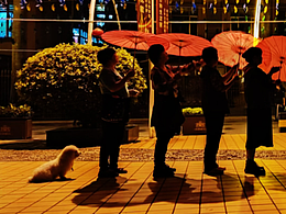 狗狗我呀，也是會跳舞的呀