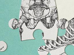 【封面设计】法医报告系列