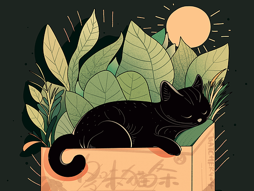 黑猫
