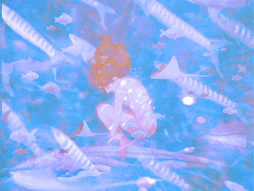 与星星作伴，拥抱自己