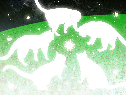 星星落到地上了
