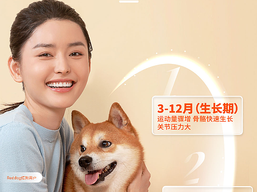 红狗营养品详情页策划设计