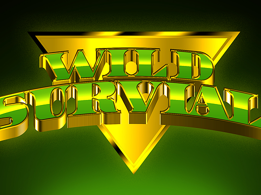 Wild survial（个人主页-ZNTkyMjYzMDQ=） - 游戏UI - 站酷设计师李曐河原创素材 - 站酷ZCOOL