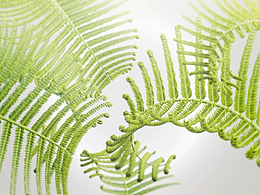 Switchbot ceiling light，给您带来自然光照