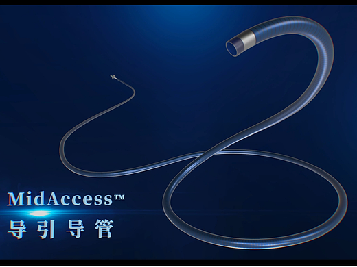 谱高医疗-医用导引导管三维动画（个人主页-ZNjc0MzE4NDA=） - 动画/影视 - 站酷设计师会剪辑的动画师原创素材 - 站酷ZCOOL